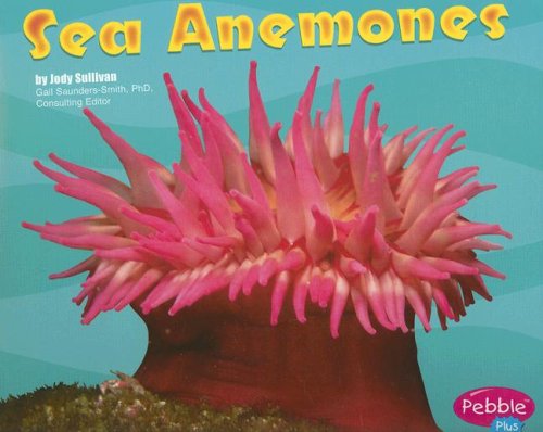 Sea Anemones (Pebble Plus. Under the Sea) (9780736861342) by Sullivan, Jody