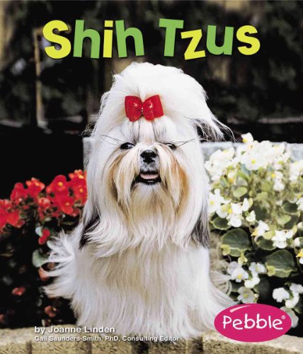 Shih Tzus (Dogs) - Joanne Linden