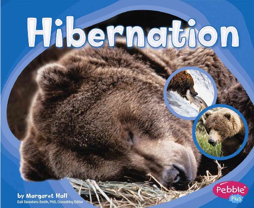 Hibernation (Patterns in Nature) - Hall, Margaret