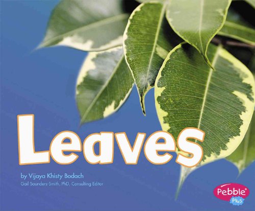 Stock image for Leaves for sale by ThriftBooks-Atlanta