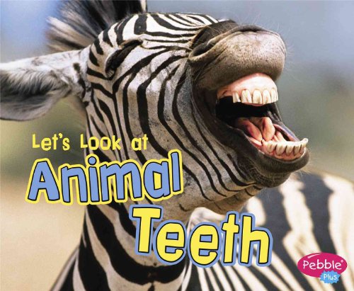 Stock image for Let's Look at Animal Teeth for sale by Better World Books: West