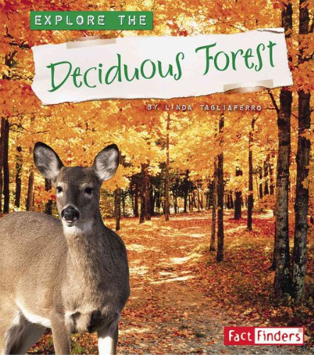 Beispielbild fr Explore the Deciduous Forest zum Verkauf von Better World Books