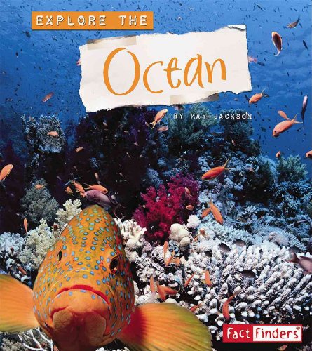9780736864060: Explore the Ocean (Fact Finders)