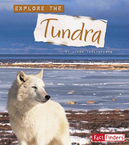 Beispielbild fr Explore the Tundra zum Verkauf von Better World Books