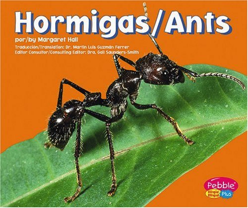Imagen de archivo de Hormigas / Ants (Pebble Plus Bilingual: Criaturas Diminutas/ Bugs, Bugs, Bugs) (Spanish and English Edition) a la venta por Byrd Books