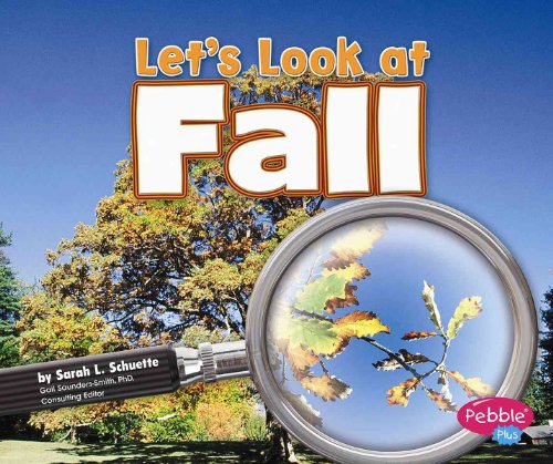 Stock image for Let's Look at Fall (Investigate the Seasons) for sale by SecondSale