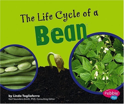 9780736867108: The Life Cycle of a Bean