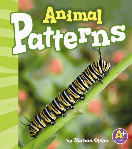 Imagen de archivo de Animal Patterns a la venta por Better World Books