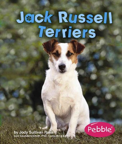 9780736867436: Jack Russell Terriers (Pebble Books)