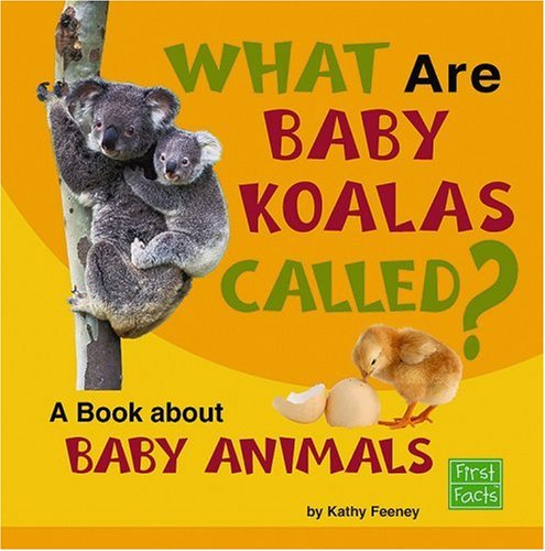 Stock image for What Are Baby Koalas Called? : A Book about Baby Animals for sale by Better World Books