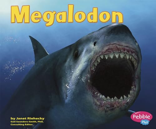 Beispielbild fr Megalodon (Dinosaurs and Prehistoric Animals) zum Verkauf von BooksRun