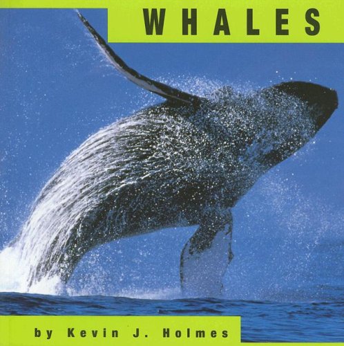 Whales (Animals) - Kevin J. Holmes