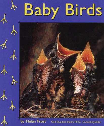 Imagen de archivo de Baby Birds a la venta por ThriftBooks-Atlanta