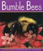 Stock image for Bumble Bees for sale by Better World Books