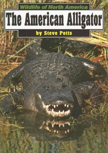 9780736884808: The American Alligator (Wildlife of North America)