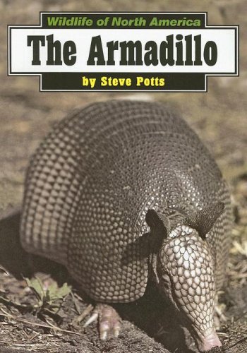 Beispielbild fr The Armadillo zum Verkauf von ThriftBooks-Atlanta