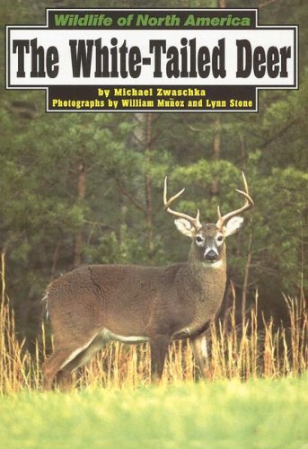 Imagen de archivo de The White-Tailed Deer (Wildlife of North America) a la venta por Ergodebooks