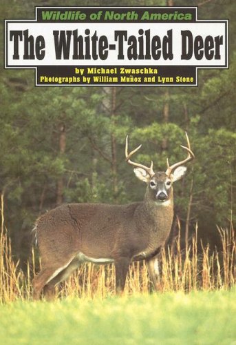 Stock image for The White-Tailed Deer (Wildlife of North America) for sale by Ergodebooks