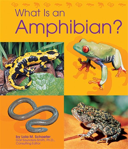 What Is an Amphibian? (9780736890922) by Schaefer, Lola M.