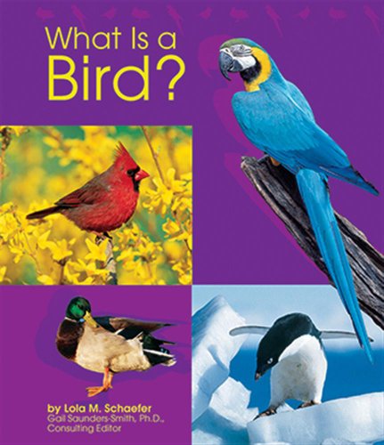 Beispielbild fr What Is a Bird? zum Verkauf von Better World Books