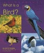 9780736890939: What Is a Bird (Animal Kingdom)