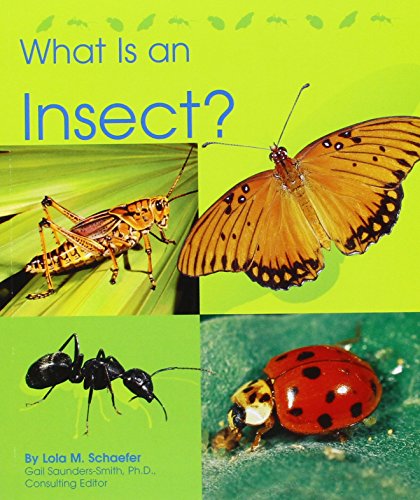 9780736890953: What Is an Insect?