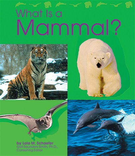 Beispielbild fr What Is a Mammal? (The Animal Kingdom) zum Verkauf von Decluttr