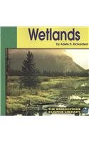 Stock image for Wetlands (Ecosystems) for sale by BookHolders