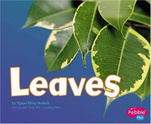 Imagen de archivo de Leaves (Plant Parts series) a la venta por BooksRun