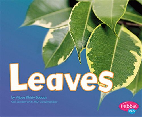 Stock image for Leaves (Plant Parts series) for sale by Wonder Book
