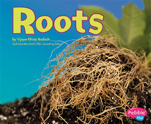 Stock image for Roots (Plant Parts) for sale by St Vincent de Paul of Lane County