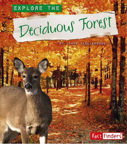 Beispielbild fr Explore the Deciduous Forest zum Verkauf von SecondSale