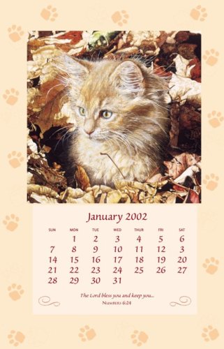 Amber's 1st Autumn Calendar 2002 (9780736907040) by Ross, Sueellen
