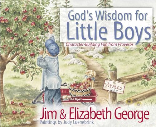 Imagen de archivo de God's Wisdom for Little Boys: Character-Building Fun from Proverbs a la venta por SecondSale