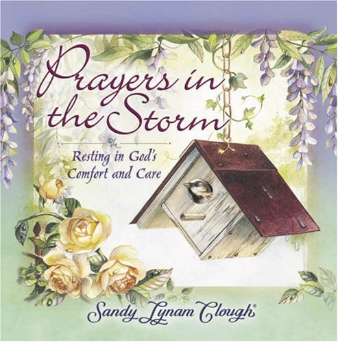 Beispielbild fr Prayers in the Storm : Resting in God's Comfort and Care zum Verkauf von Better World Books