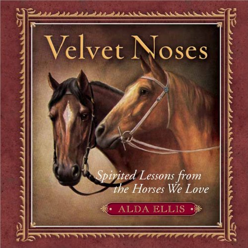 Imagen de archivo de Velvet Noses: Spirited Lessons from the Horses We Love a la venta por SecondSale