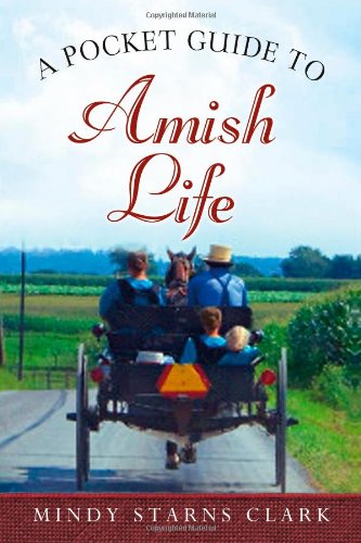 Stock image for A Pocket Guide to Amish Life for sale by SecondSale