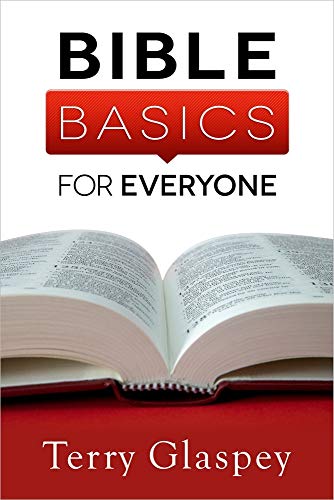 Stock image for Bible Basics for Everyone for sale by Your Online Bookstore