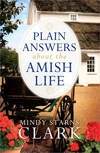 Beispielbild fr Plain Answers About the Amish Life zum Verkauf von More Than Words