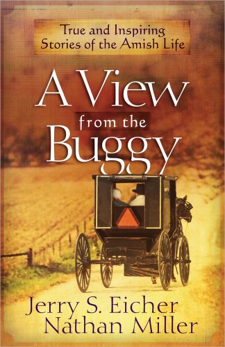Beispielbild fr A View from the Buggy: True and Inspiring Stories of the Amish Life zum Verkauf von SecondSale