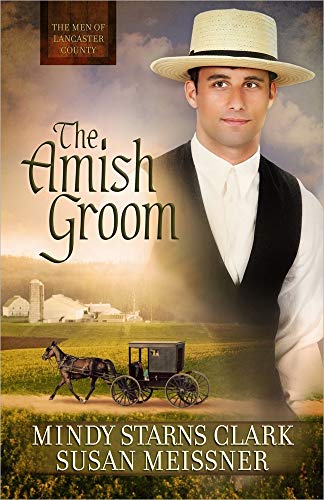 Stock image for The Amish Groom (The Men of Lancaster County) for sale by SecondSale