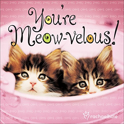 Beispielbild fr You're Meow-Velous! zum Verkauf von Buchpark