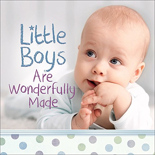 Stock image for Little Boys Are Wonderfully Made for sale by Once Upon A Time Books