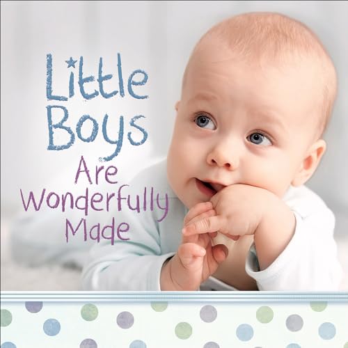9780736965842: Little Boys Are Wonderfully Made