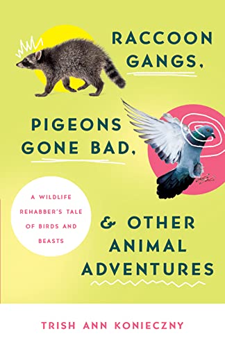 Beispielbild fr Raccoon Gangs, Pigeons Gone Bad, and Other Animal Adventures: A Wildlife Rehabber's Tale of Birds and Beasts zum Verkauf von BooksRun