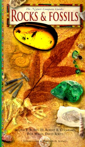 Imagen de archivo de Rocks and Fossils a la venta por Better World Books