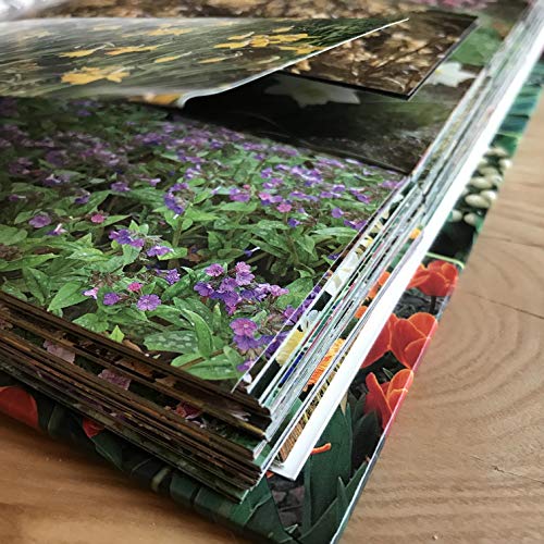 Stock image for The Garden Planner for sale by Your Online Bookstore