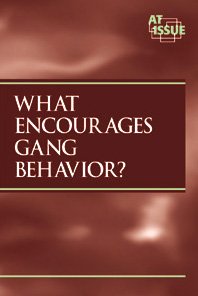 Stock image for What Encourages Gang Behavior? for sale by Better World Books