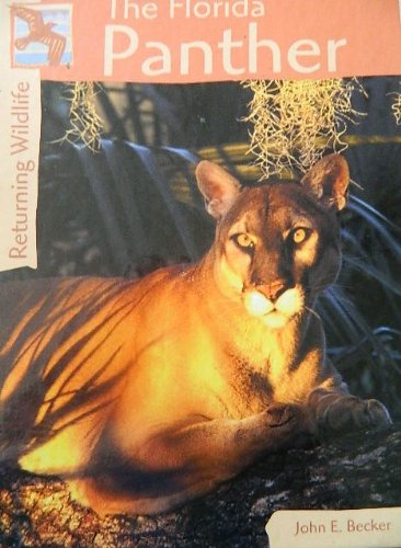 9780737713794: The Florida Panther