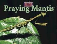 Stock image for Praying Mantis for sale by Better World Books